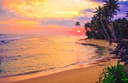 Matara Hotel | Bienvenido Cozy Madiha