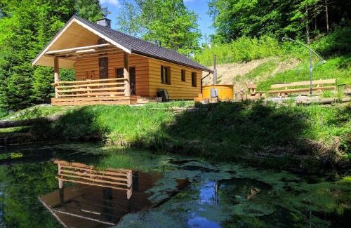 Lesko Cabina | Bieszczady Domek Nad Stawem