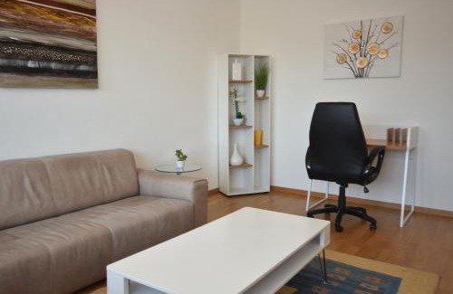 Muhlebach Apartamento | Big 1BR apartment in the center - Mill 355