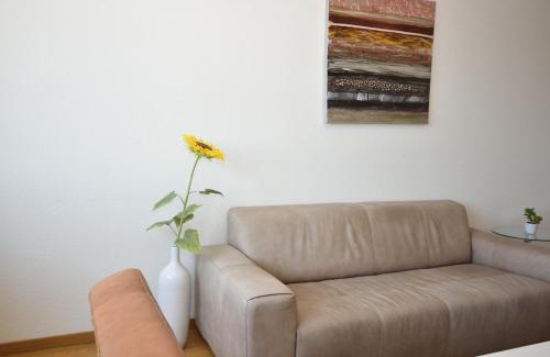 Muhlebach Apartamento | Big 1BR apartment in the center - Mill 355