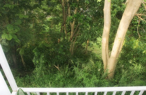 Trujillo Alto Casa | BIG Apartment-Location-8mile SJUairport-Beach-Nightlif-13Old SJ-30min Rainforest