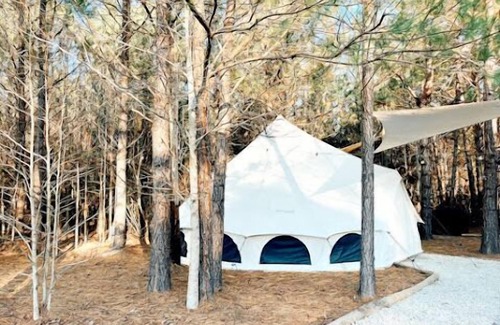 Conway Alquiler De RV | 🐻 Big Bear Glamping | Spacious Forest Retreat 🌲🔥 Sleeps 8