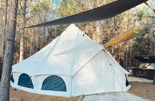 Conway Alquiler De RV | 🐻 Big Bear Glamping | Spacious Forest Retreat 🌲🔥 Sleeps 8