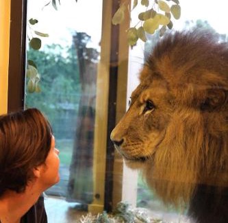Town of Sullivan Casa | Big Cat Bungalows at The Haven - Lion 4