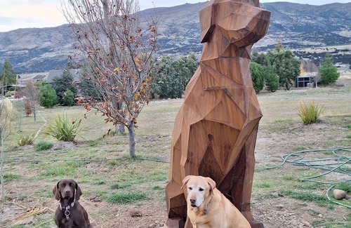 Luggate Cabina | BIG DOGS Homestay