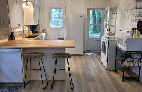 Stanwood Cabina | Big Rapids Relaxing River View Cottage Hot Tub