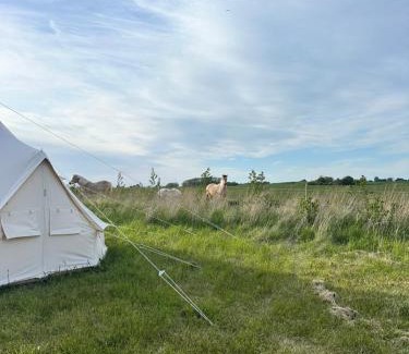 Stege Otro | Big tent with real beds and ocean view
