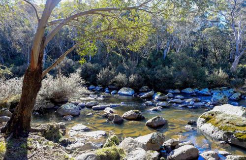 Moonbah Otro | Big Yard Escapes - Two Off-Grid Tiny Houses on the Mowamba River