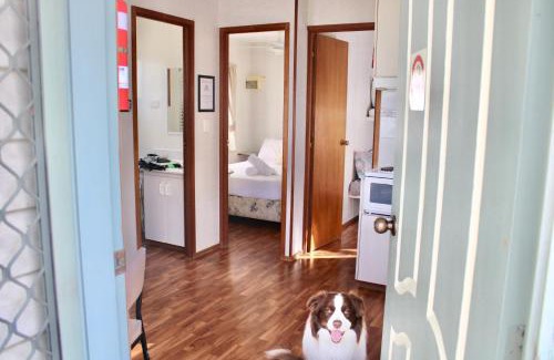 Rutherglen Otro | BIG4 Rutherglen Holiday Park