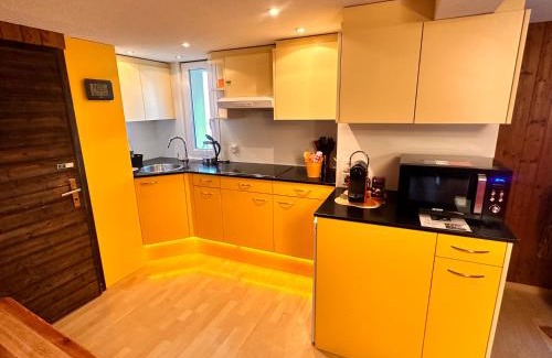 Oberterzen Apartamento | Bijouswiss " Yellow House"