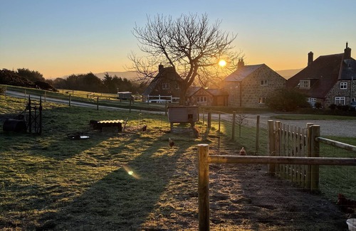 Shorwell Cabaña | Bike Shed - Beautiful 1-Bed Cottage in Shorwell