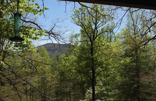 Hendersonville Cabina | Trailside Escape en el Parque Estatal Dupont