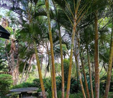 Ramsgate Beach Casa | BillsBest Rock Inn