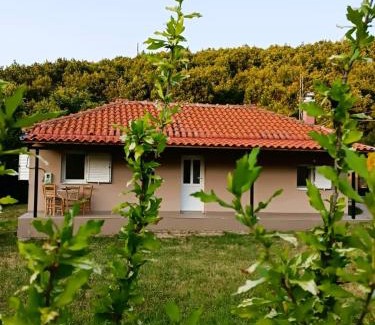 Vlachava Casa | Billy's house