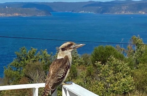 Killcare Heights Casa | 'Binalong House' by Accom Holidays
