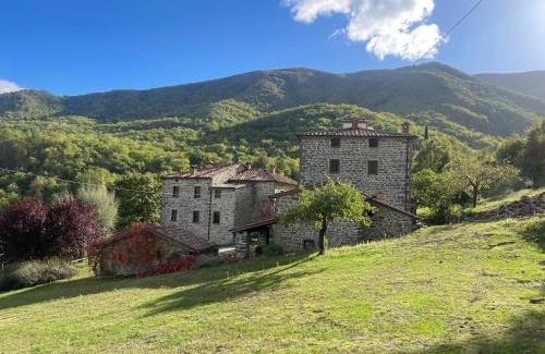 Caprese Michelangelo Casa | Bio Agriturismo Il Vigno