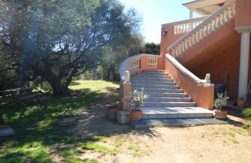 Sartene Cabaña | Los Sartenais bodega biodinámica
