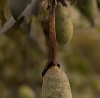 Tausa Cabina | Biofilia Colombia