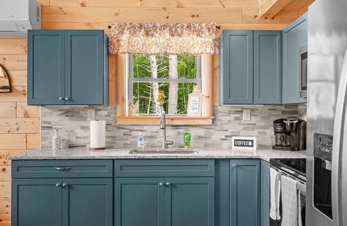 West Oneonta Cabina | Birch Cabin Lakefront & Secluded Kayaks Fishing!