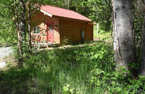 Talkeetna Cabina | Birch Cabin