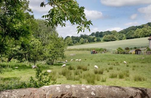 West Buckland Casa | Birch House Studio