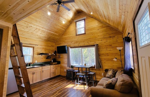 Badger Cabina | Birch Tree Cottage