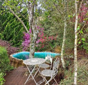 Underberg Cabina | Birches Cottage & the Willows Garden Room