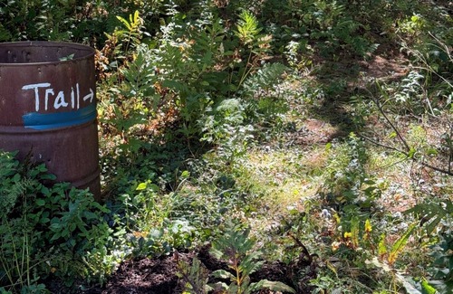 Maplecrest Cabaña | Birchwood Cottage - Scenic Valley Getaway