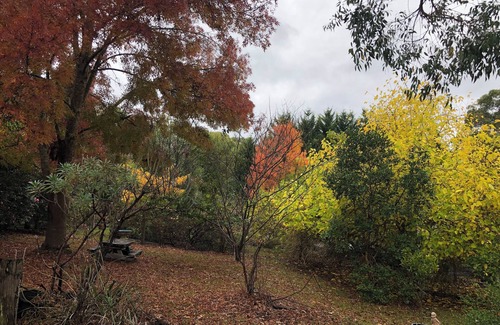 Woori Yallock Cabaña | Bird Hill - Una casa de campo en un camino rural - disfrute de la tranquilidad