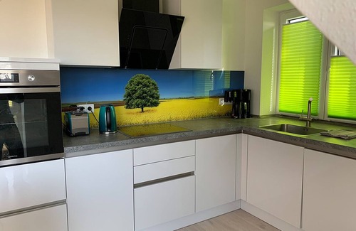 Vollerwiek Apartamento | Migración de aves, apartamento de vacaciones en "De Feerjenhusen" en el Haubarg de Vollerwiek