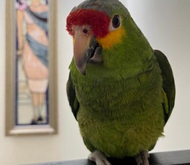 Marfil Apartamento | Birdhouse