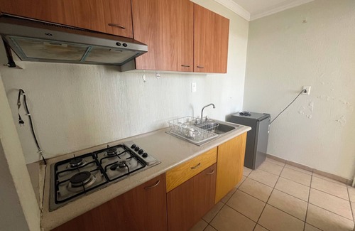 Zona Rosa de la Ciudad de México Apartamento | Birdhouse