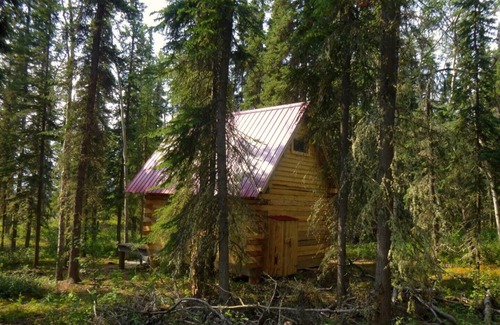 Marsh Lake Cabina | Birdhouse/ Off-the-grid Cabin, Marsh Lake, YT