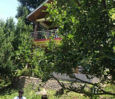 Kullu Hotel | BIRDS LOVE HOUSe