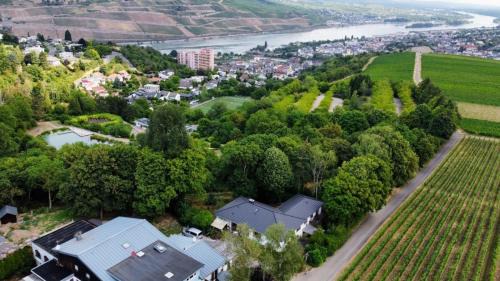 Mainz-Bingen Apartamento | Birkennest
