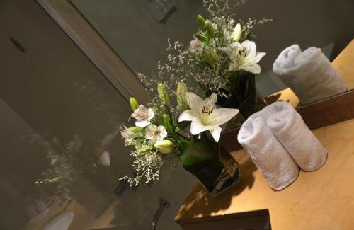 Microcentro Hotel | Bisonte Libertad