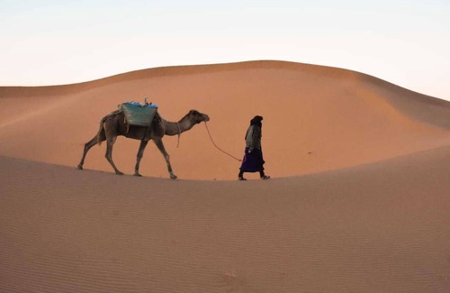 Foum Zguid Otro | Bivouac les nomades foum zguid