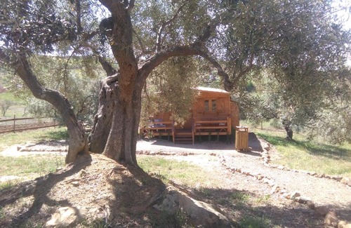 Comarca de Antequera Casa | Biznaga