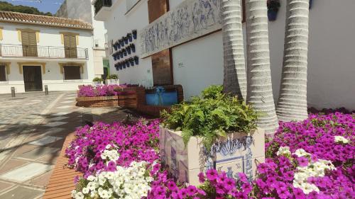 Benalmádena Apartamento | Biznaga seaviews