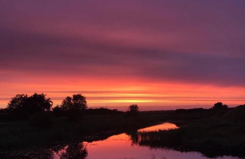 Ribe Cama Y Desayuno | Bjerrumgaard bed and breakfast