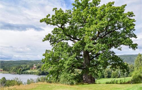 Krodsherad Apartamento | Bjertnes Turistgård