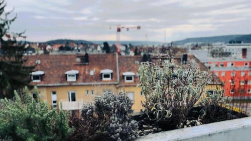Am Homburg Apartamento | Blühendes Balkonwohnung mit Traumaussicht