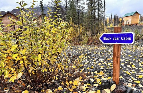 Denali Cabina | Black Bear, Black Bear Lakefront Cabin