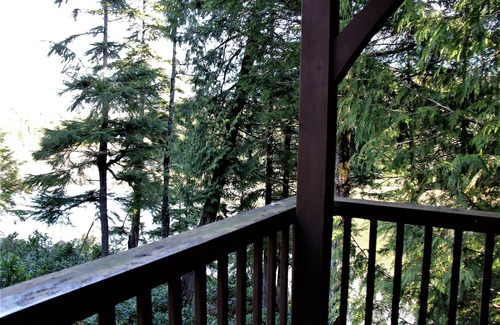 Ucluelet Casa | Black Bear Cottage