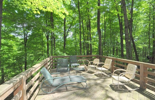 Berkeley Springs Cabina | Black Forest - 5 Bedroom Escape