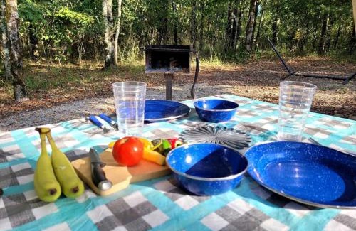 Mid America Otro | Black Fox Den: A Woodland Glamp - Dog Friendly in Hot Springs, AR