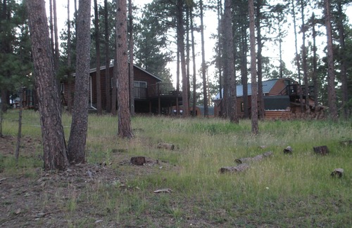 Rapid City Cabina | Black Hills Cabin centrally located near Pactola Lake.