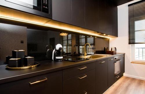 Elblag Apartamento | Black Pearl Apartment starówka