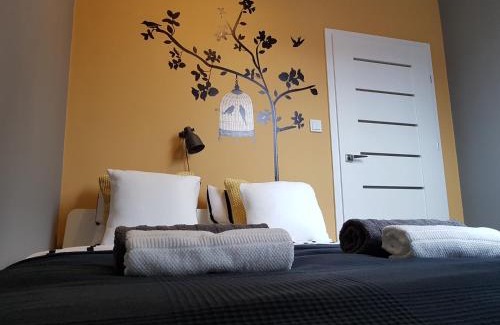 Kielce Apartamento | Black Rose APARTAMENT Targi 3 km, F-ry Vat