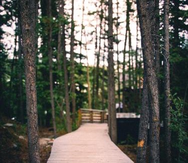 Whitehorse Casa | Black Spruce - Orange Door